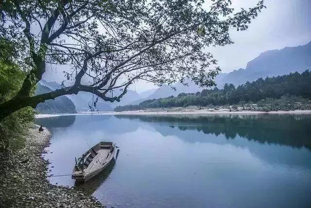 脑洞小老弟无实名认证